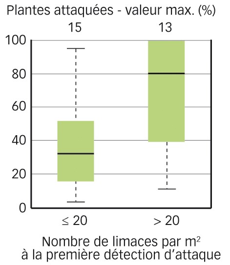 Fig. 1 : Limaces et dégâts       Relation, sur blé, entre le nombre de limaces et l'intensité d'attaque (le pourcentage de plantes attaquées).  