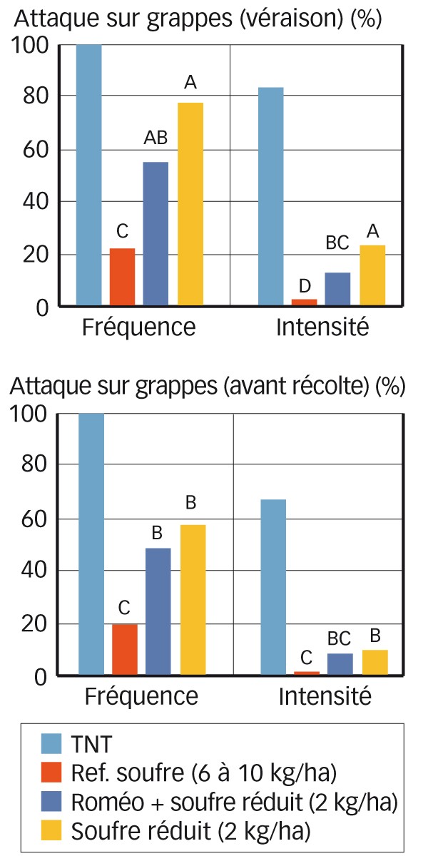 Fig. 1 : Fréquence et intensité d'attaque d'oïdium sur grappe 