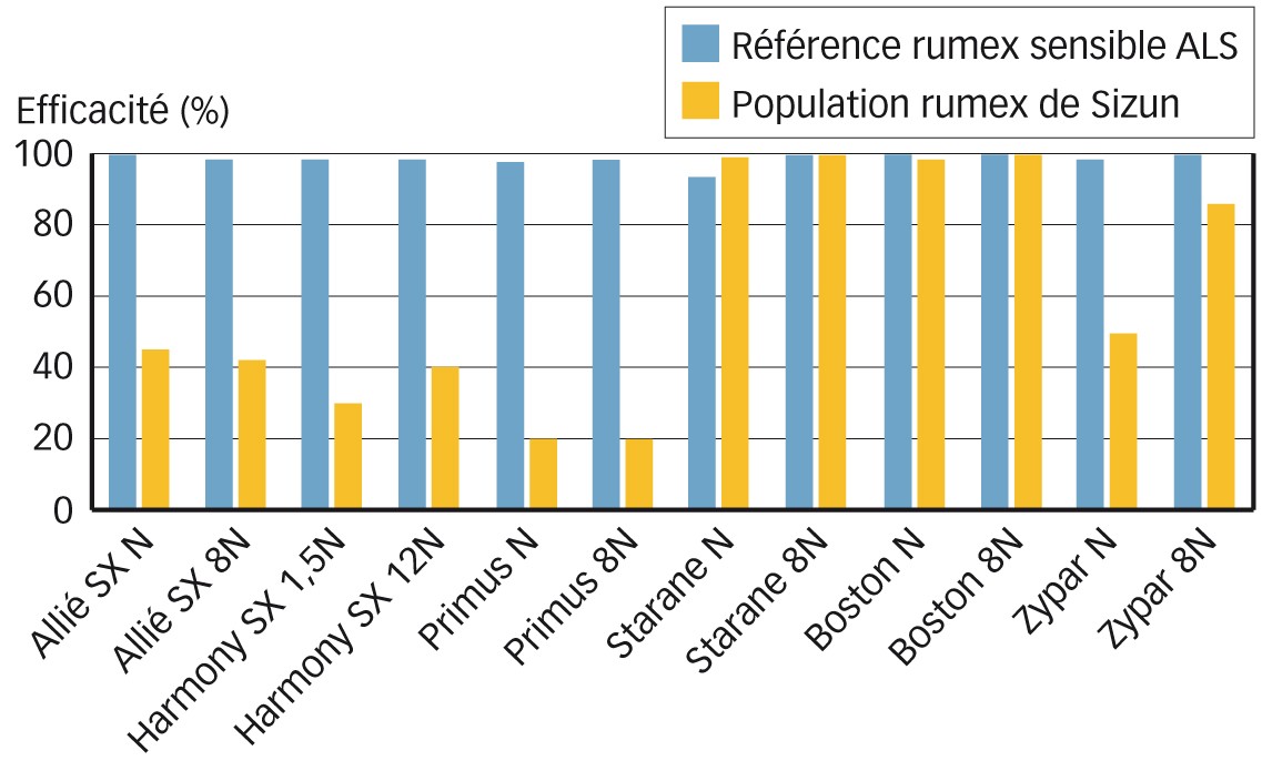 Fig. 1 : Efficacité (%) de différents produits commerciaux sur la population de rumex à feuilles obtuses de Sizun, 28 jours après traitement      Source : FMC - ERDC, G. Becher, janvier 2019. 