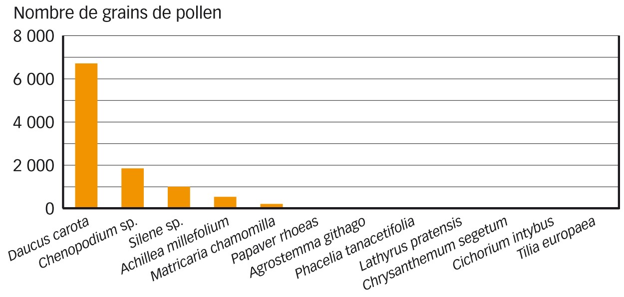 Fig. 2 : Moyenne des grains de pollen consommés par les chrysopes collectés de mai à août 2016 et 2017 à Marchélepot 