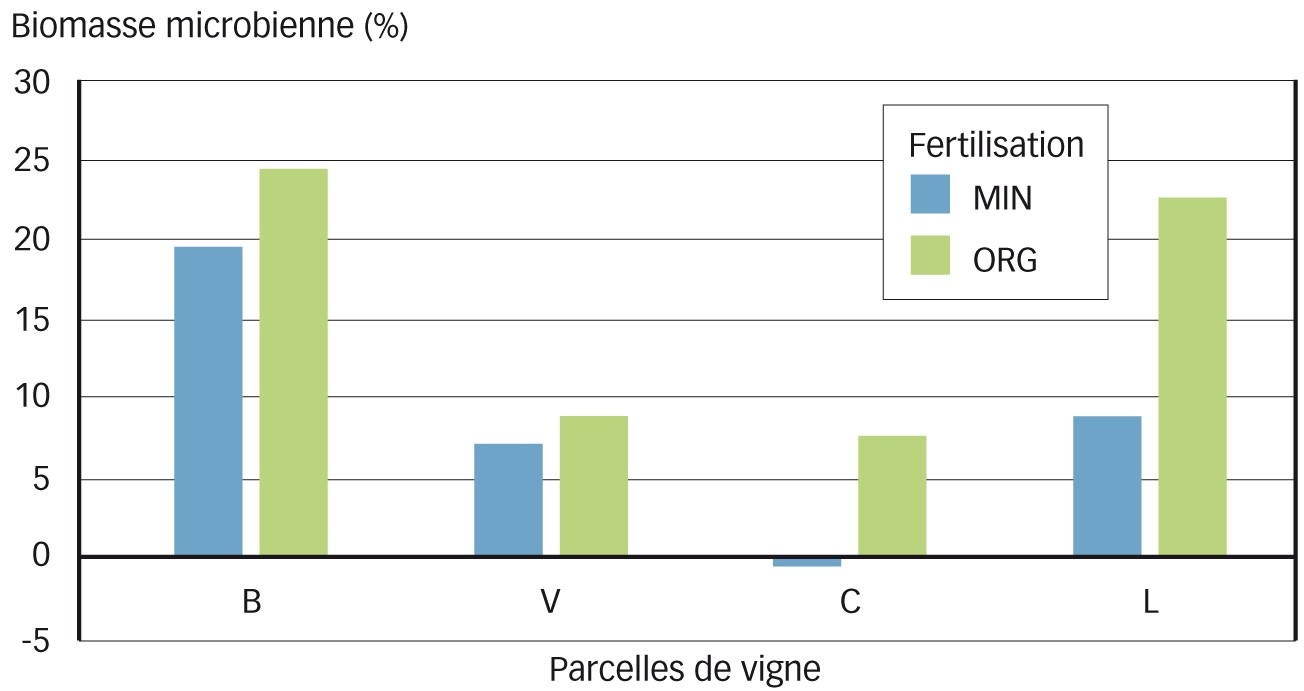 Fig. 1 : Mesure de l'impact de la fertilisation organique (ORG) ou de la fertilisation minérale (MIN) sur la biomasse microbienne       Dans quatre parcelles de vigne du sud de la France (MIN = 40 U de sulfate d'ammoniaque ; ORG = 40 U de fertilisant organique Frayssinet constitué d'une base de compost). Données issues du programme de recherche collaborative FUI NV2 (financement BPI, Région Occitanie et Feder). Biomasse microbienne exprimée en % du témoin sans apport en fonction du type de fertilisant organique (ORG) ou minérale (MIN). Mesure réalisée en sortie d'hiver dans quatre parcelles de vigne après quatre années d'apport : B et V en zone méditerranéenne, C dans le Gers et L à Gaillac. 