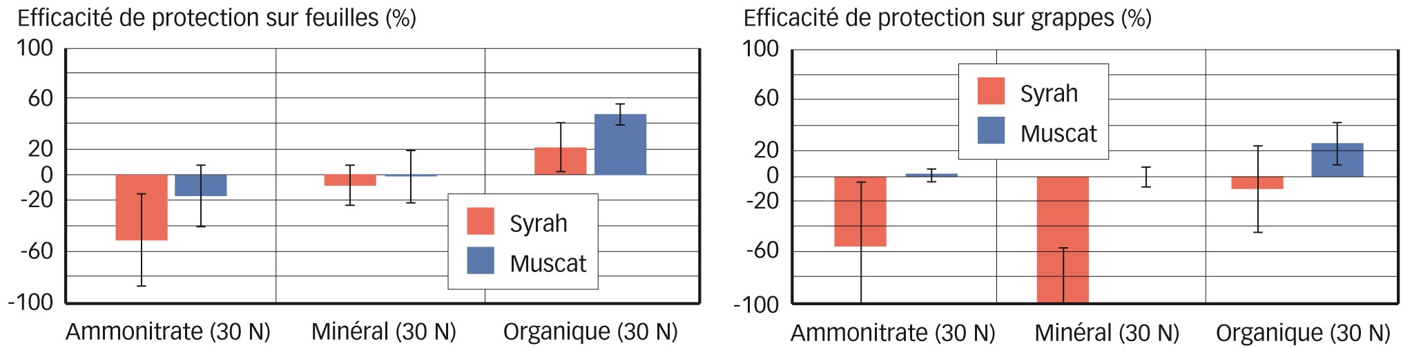 Fig. 3 : Effet de la fertilisation organique et minérale sur le contrôle du champignon pathogène Plasmopara viticola (mildiou) sur deux cépages de vigne cultivés (Aude)       Fertilisant organique = Orga (N-P-K 3-2-3 avec 50 % de matière organique compostée avec fumier (35 %), laines (10 %) et tourteaux végétaux (55 %), Frayssinet). Fertilisants minéraux = engrais minéral (N-P-K 17-8-12) et ammonitrate (N-P-K 33,5-0-0) comme référence azotée. Afin de suivre l'impact des fertilisants sur les maladies, un témoin non fertilisé sert de base de calcul au référentiel (ligne de base). Essai en blocs de Fisher (n = 4). Notation effectuée à la nouaison (BBCH 71), intensité du mildiou de 5 % et 7,5 %, respectivement sur muscat et syrah. 