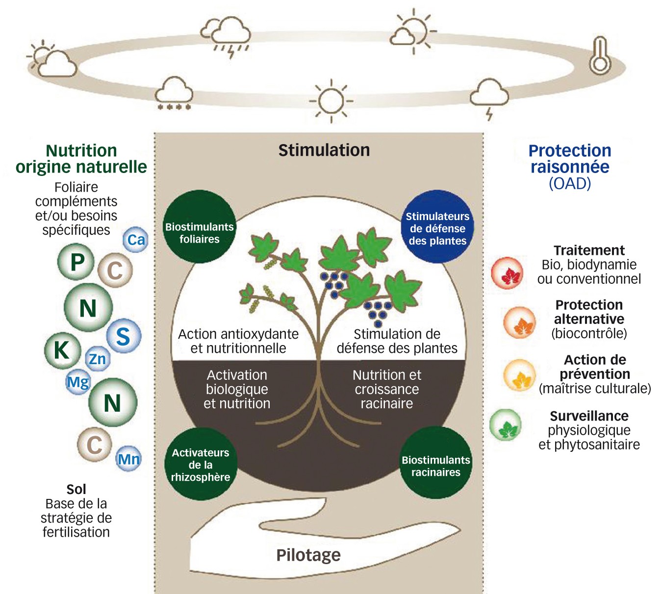 Fig. 7 : Concept global nutrition/stimulation/protection géré par OAD 